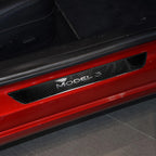 DSI - Tesla Model 3 - Carbon fiber Door jam floor panel threshold strip modification