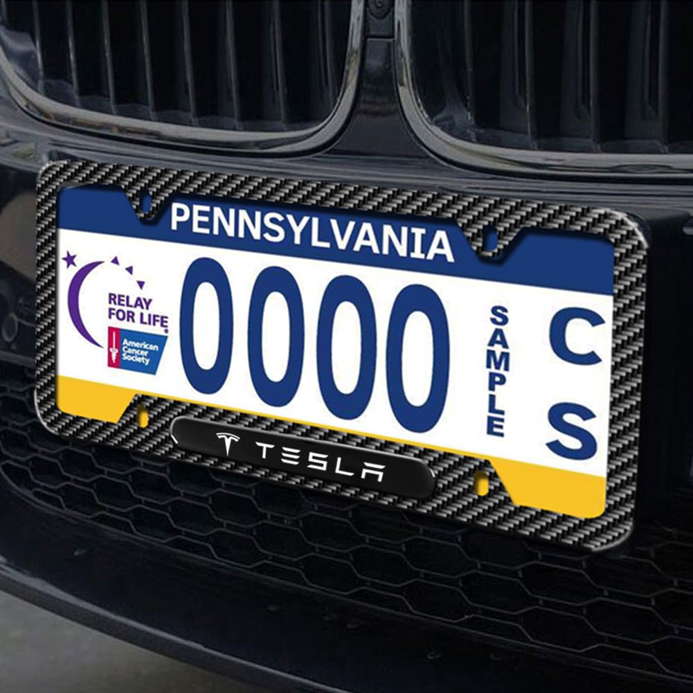 DSI - Carbon Fiber License Plate Frames for Tesla Model 3, Model Y, Model X, Model S, 2 Piece Weather Resistant Aluminum Alloy Black License Plate Holder with Screw Caps Cover